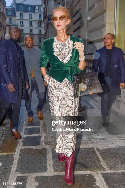 Singer Celine Dion is seen on January 25, 2019 in Paris, France.