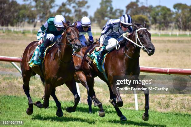 Pantera Nera ridden by Dylan Dunn wins the Mackays Leading Edge Jewellers Maiden Plate at Donald Racecourse on February 15, 2019 in Donald, Australia.