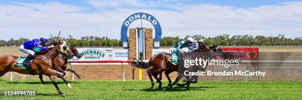 Pantera Nera ridden by Dylan Dunn wins the Mackays Leading Edge Jewellers Maiden Plate at Donald Racecourse on February 15, 2019 in Donald, Australia.