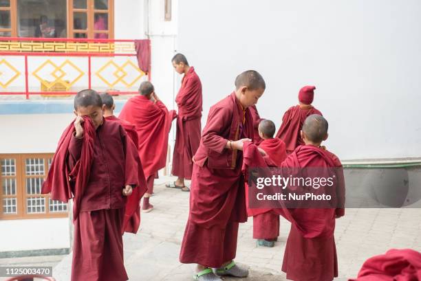 The young monks have a rest time after the morning puja in the Thrangu Tashi Yangtse Monastery, Kavrepalanchok District, Bagmati Zone, Nepal, in...