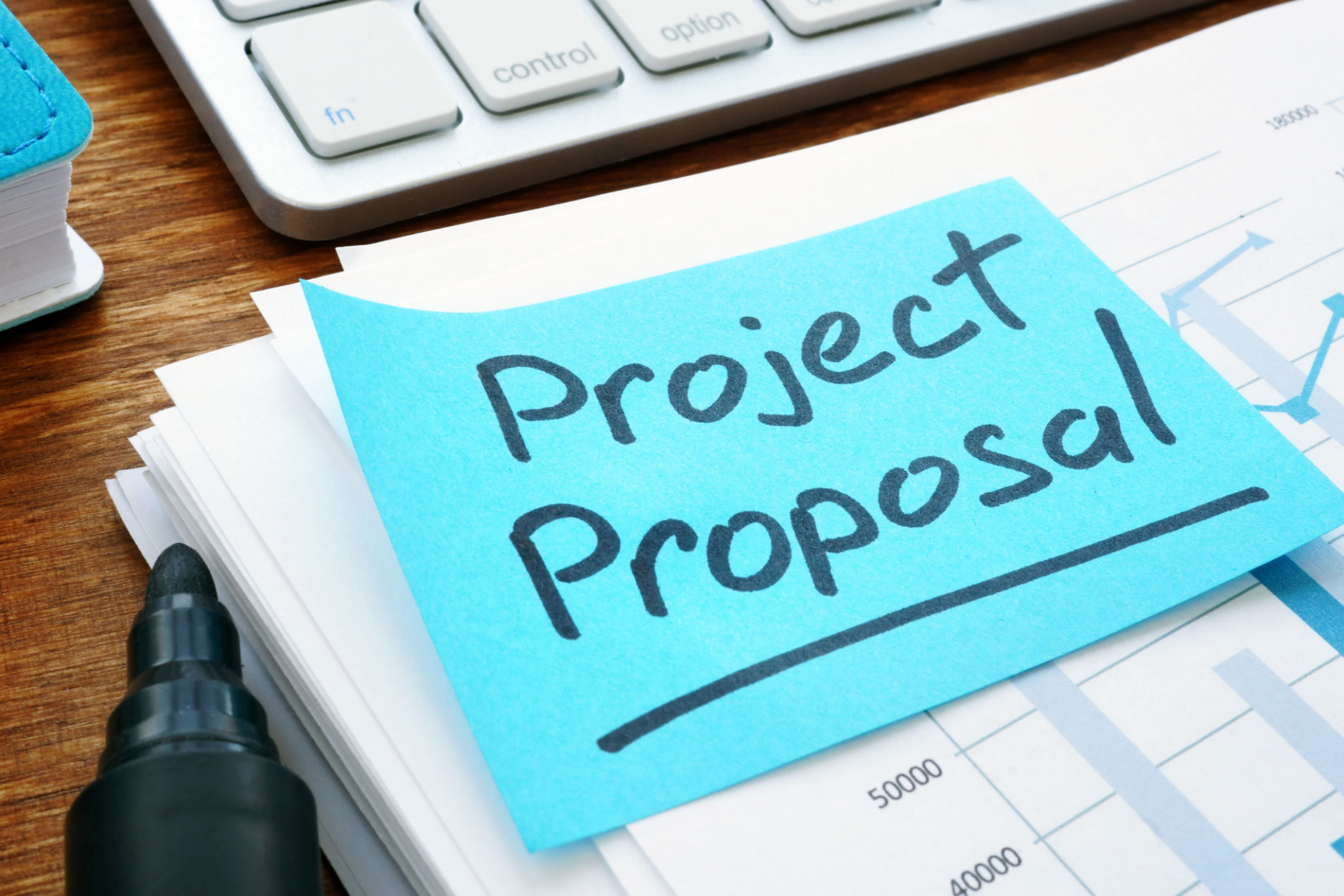 grant proposal