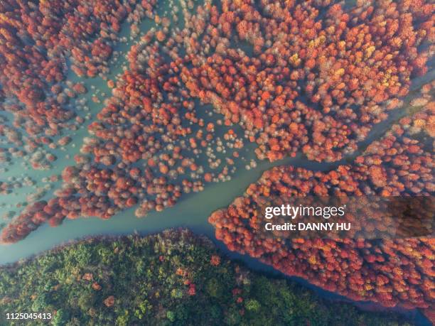 aerial view of redwood in lake - 安徽省 stockfoto's en -beelden