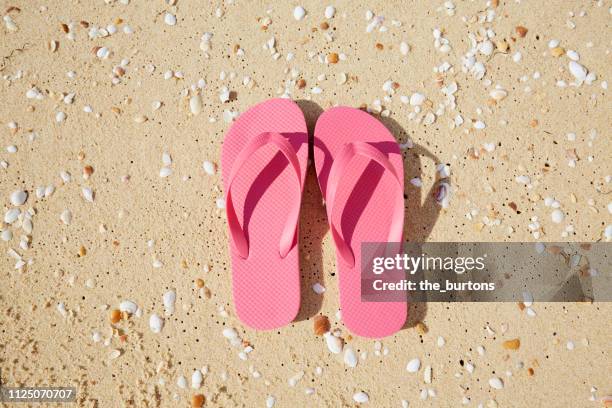 high angle view of flip-flops on the beach - pink shell stock pictures, royalty-free photos & images
