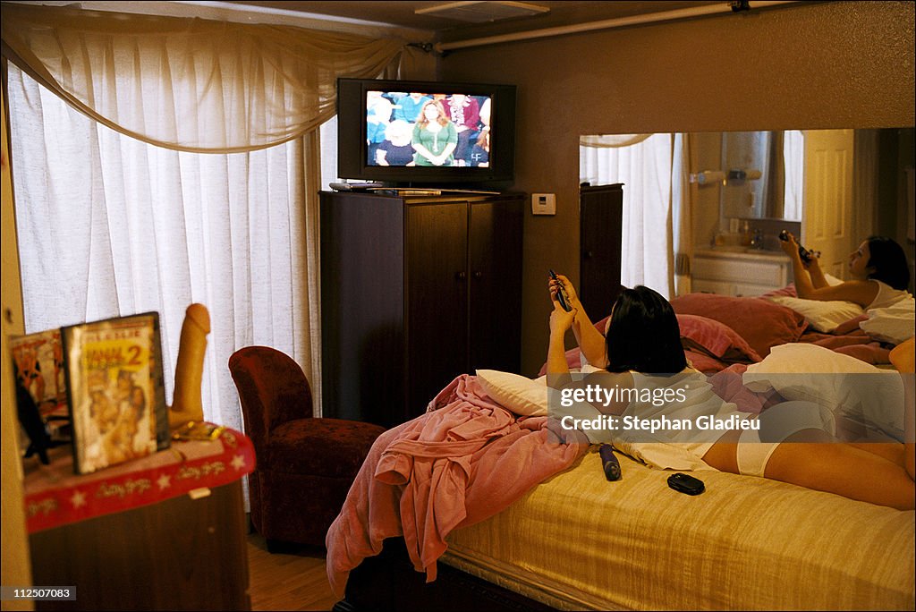 Moonlite Bunny Ranch