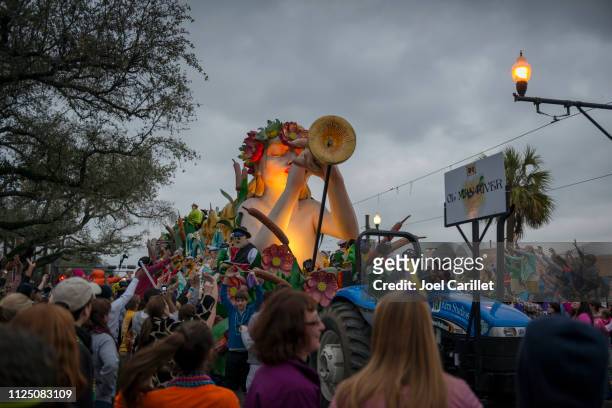 mardi gras parade - krewe av endymion - mardi gras fun in new orleans bildbanksfoton och bilder
