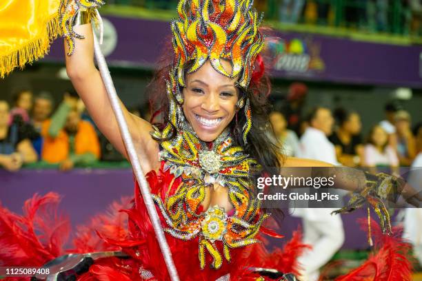 carnival 2018 - brazil - porta bandeira imagens e fotografias de stock