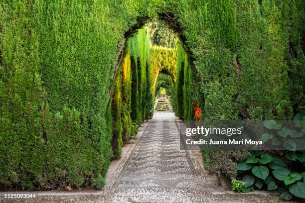 views of the generalife gardens, in the palace of the alhambra, granada. andalusia. spain - bola fora imagens e fotografias de stock