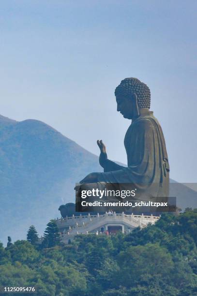 tian tan buddha - buddha stock pictures, royalty-free photos & images
