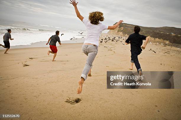 friends chasing seagulls on open beach. - woman chasing stock pictures, royalty-free photos & images