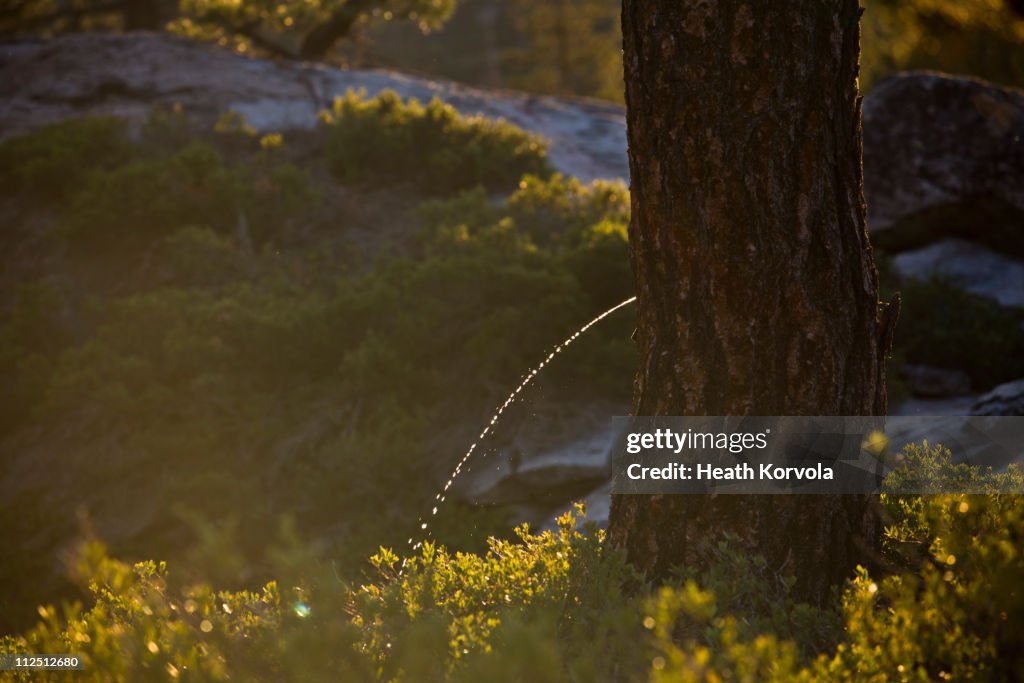 Outdoor adventure road trip in California.