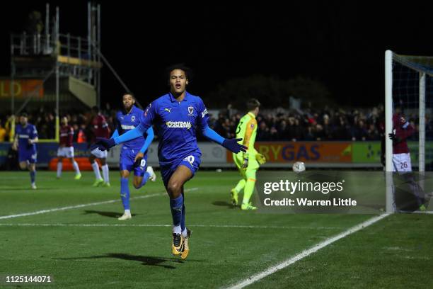 Toby Sibbick of AFC Wimbledon celebrates after scoring his team's fourth goal during the FA Cup Fourth Round match between AFC Wimbledon and West Ham...