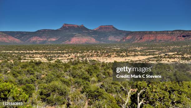 bears ears and a national monument - bears ears national monument stock-fotos und bilder