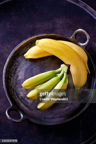 various bananas - big small stock-fotos und bilder