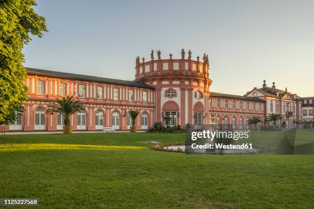 germany, hesse, wiesbaden, biebrich palace in the evening - grand palais stock-fotos und bilder