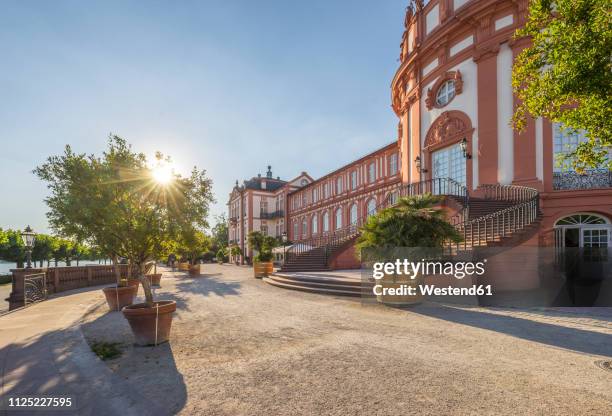 germany, hesse, wiesbaden, biebrich palace against the sun - rheingau stockfoto's en -beelden