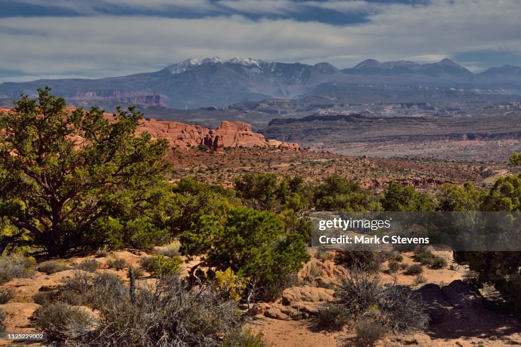 The Antidote to Exhaustion Isn't Rest, It's Nature