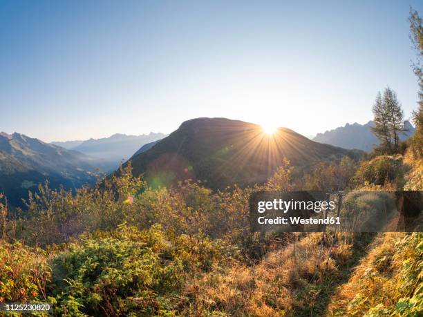Bagozza 58 Bagozza Stock Photos, High-Res Pictures, and Images - Getty Images