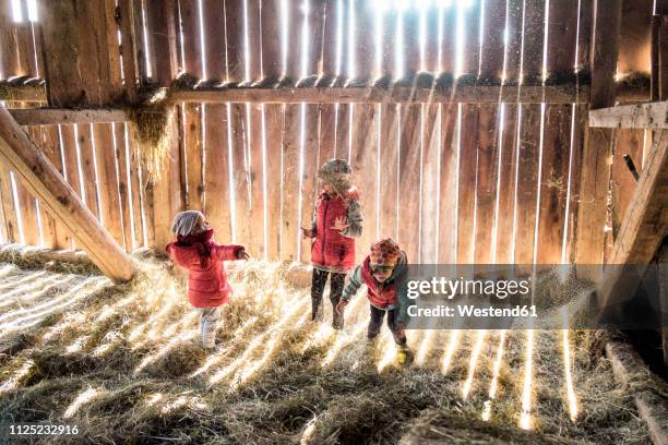 three little girls playing together in a hey barn - kids farm stock-fotos und bilder