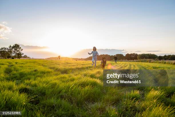 two children with a dog running over a field at sunset - prairie dog photos et images de collection
