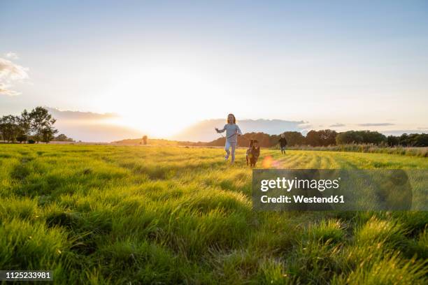 two children with a dog running over a field at sunset - queen margrethe ii of denmark visits berlin day 1 stockfoto's en -beelden