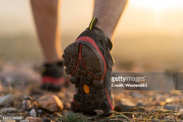 close-up of feet of a hiker - hiking shoes stock-fotos und bilder