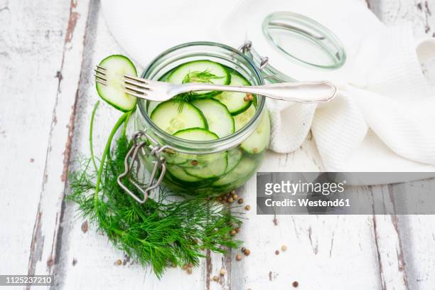 pickled cucumber, swedish pressgurka, with dill - salmuera fotografías e imágenes de stock