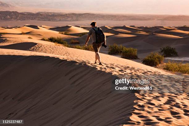 usa, californien, death valley, death valley national park, mesquite flat sand dunes, man walking on dune - death valley stock-fotos und bilder