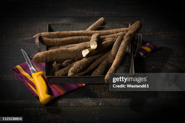 black salsifies on tray and kitchen knife - salsify stock-fotos und bilder