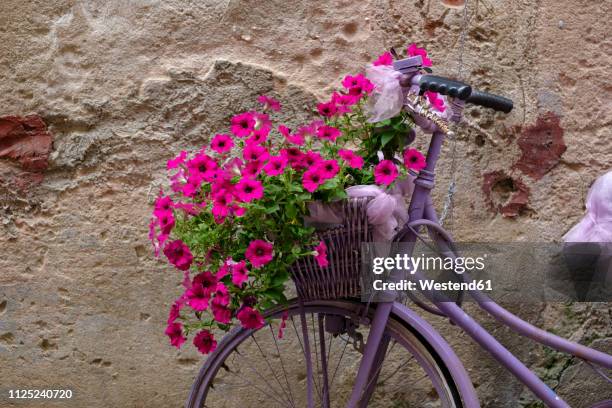 italy, old bicycle with flowers - bicycle flower basket stock pictures, royalty-free photos & images