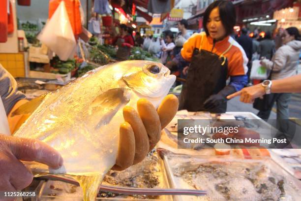 Pampus Argenteus is being sold at Causeway Bay wet market. A study by the Centre for Food Safety has found that two-thirds of food samples it tested...