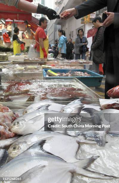 Pampus Argenteus being sold at Causeway Bay wet market. A study by the Centre for Food Safety has found that two-thirds of food samples it tested...