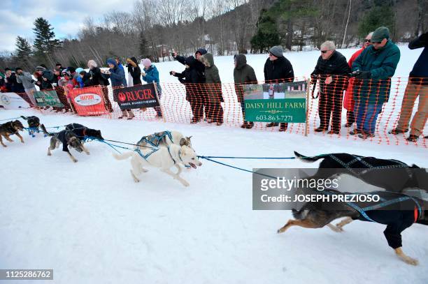 Dogs race by at the race start with spectators watching during the second annual Blue Mountain Sled Dog and North Country Musher's mid distance Sled...