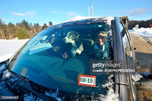 Musher Kelley McGrath pulls into the park with a team of dogs in her truck cabin during the second annual Blue Mountain Sled Dog and North Country...