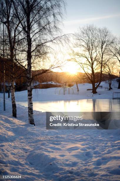 sunny winter day - winter solstice 個照片及圖片檔