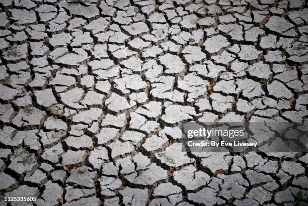 cracked earth texture - riverbed stock pictures, royalty-free photos & images