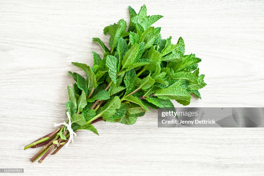Mint