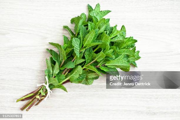 mint - mint stock pictures, royalty-free photos & images