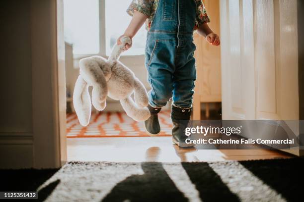 toy bunny - doudou photos et images de collection