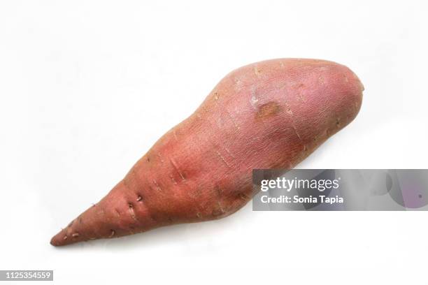 sweet potato on white background - zoete aardappel stockfoto's en -beelden