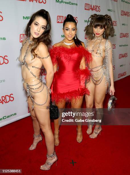 Adult film actresses Abbie Maley, Lena the Plug and Riley Reid attend the 2019 Adult Video News Awards at The Joint inside the Hard Rock Hotel &...