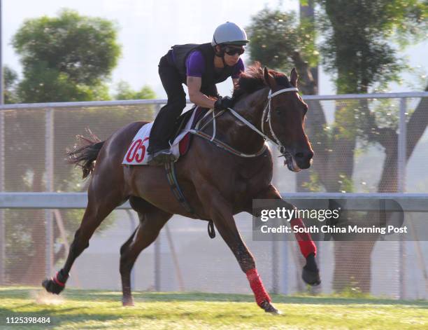 Ridden by Matthew Chadwick gallop on the Turf at Sha Tin on 13Sep12.