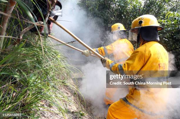 Firefighters put out fire at a inter-departmental vegetation fire cum mountain rescue exercise inside Tai Tam Country Park. 12OCT12