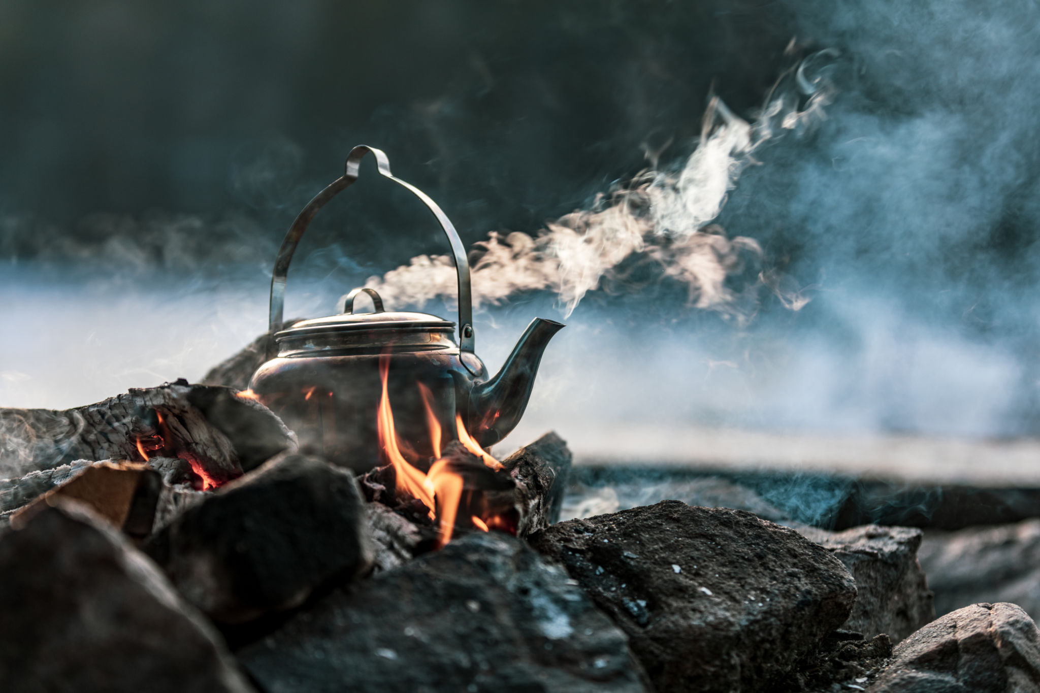 tea cooking