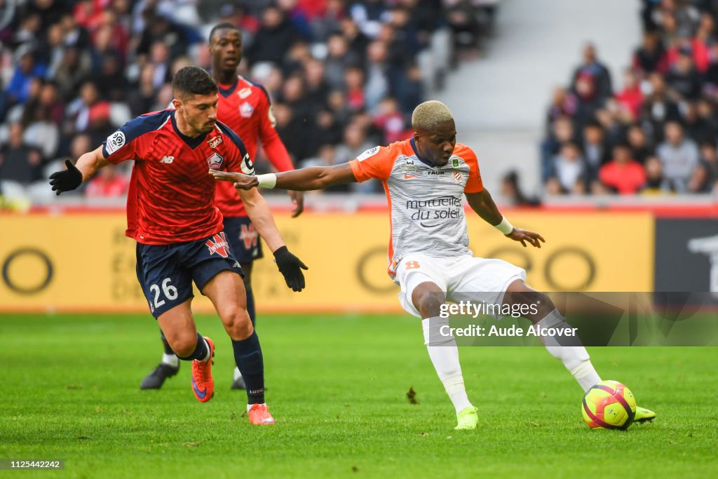 Lille OSC v Montpellier HSC - Ligue 1