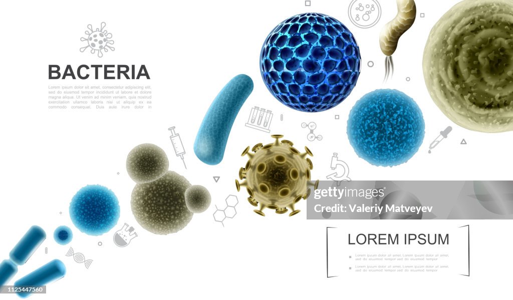 Realistic Biological Microorganisms Collection High-Res Vector Graphic ...