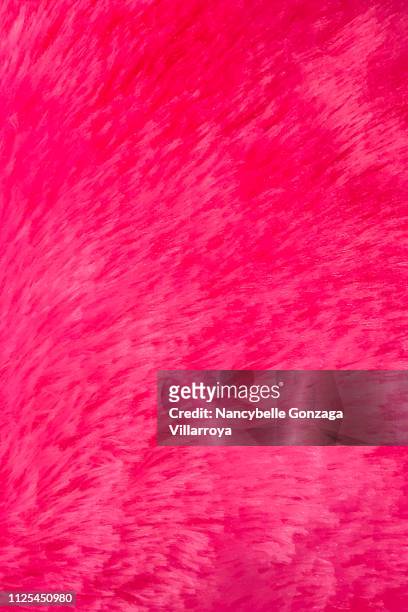 valentine's day image of fur - warm roze stockfoto's en -beelden