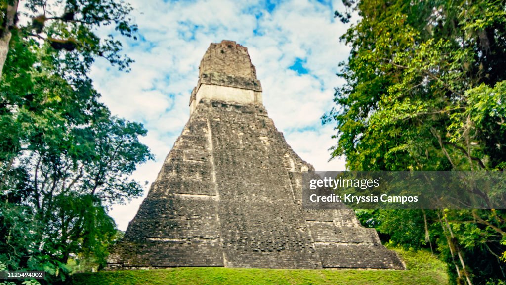 Pyramid In Forest Mayan Pyramid In The Rainforest Of Tikal Guatemala High-Res Stock Photo ...