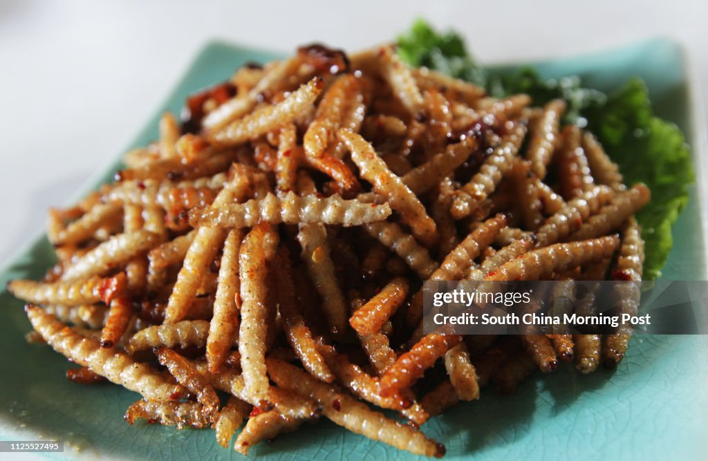Insects cuisines of silkworm pupae at People of Yunnan at San Po Kong. 14MAY13