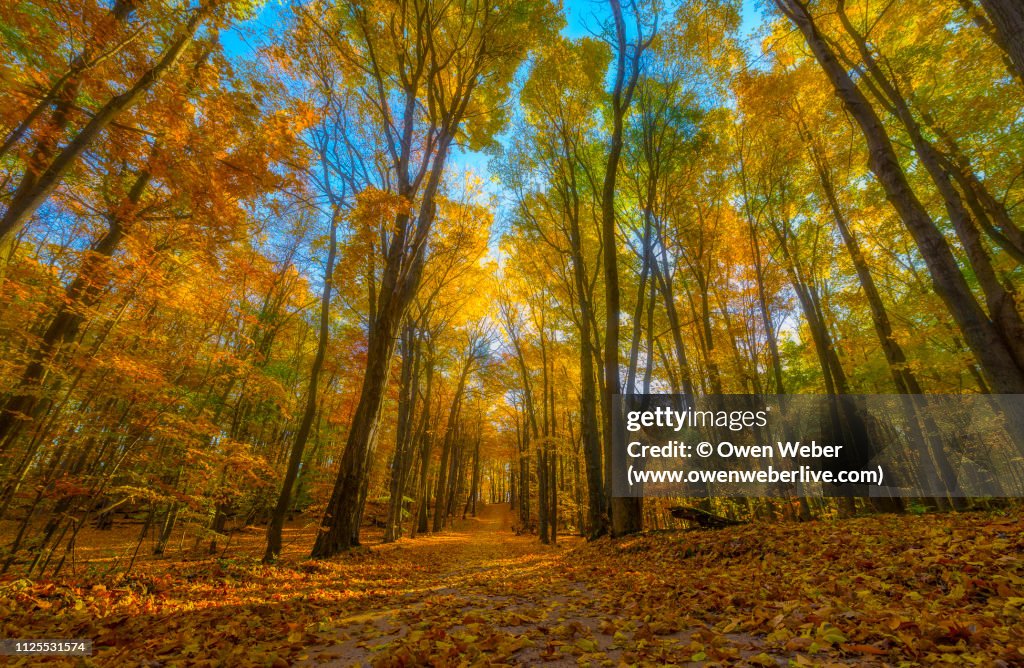 Walking Into An Autumn Rainbow