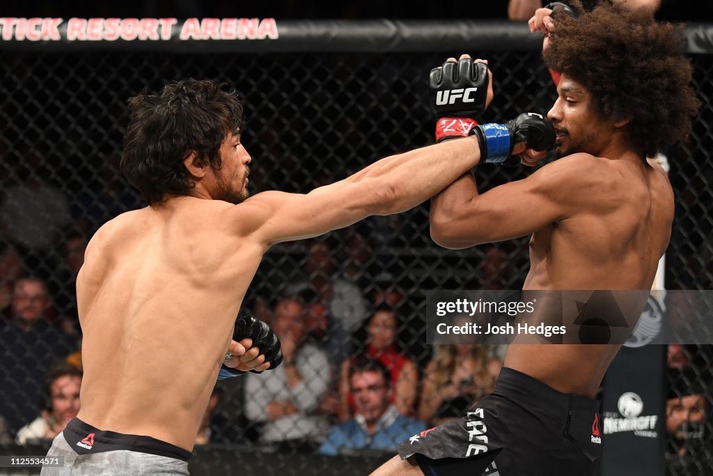 UFC Fight Night: Caceres v Gracie